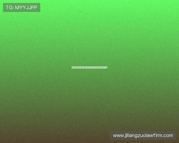 霍芬海姆足球俱乐部：德甲新兴力量的崛起与挑战分析